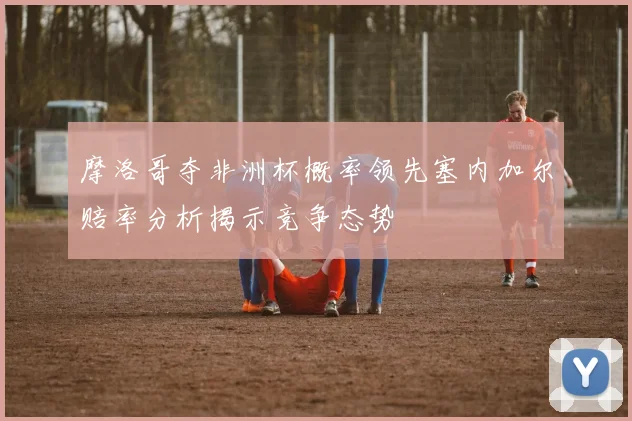 摩洛哥夺非洲杯概率领先塞内加尔赔率分析揭示竞争态势