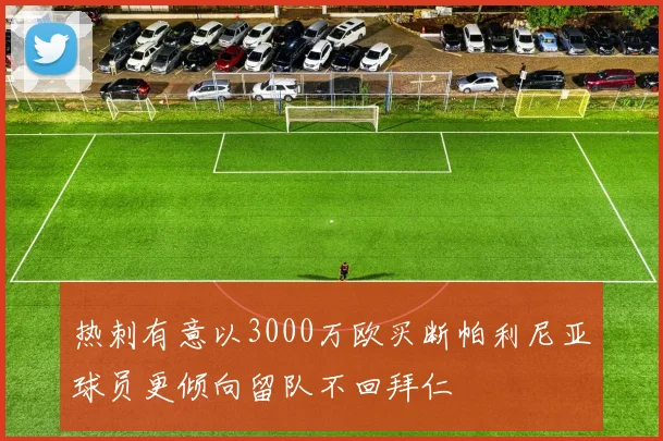 热刺有意以3000万欧买断帕利尼亚球员更倾向留队不回拜仁